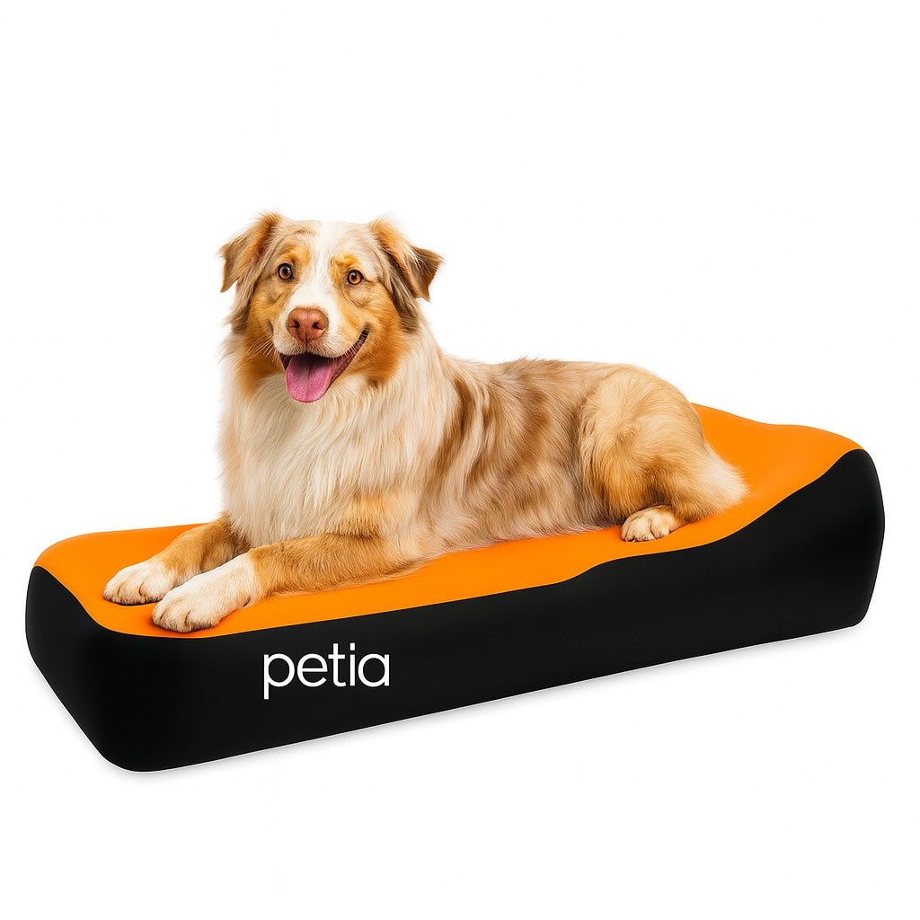 Petia Everywhere Pet Bed For Dogs And Cats